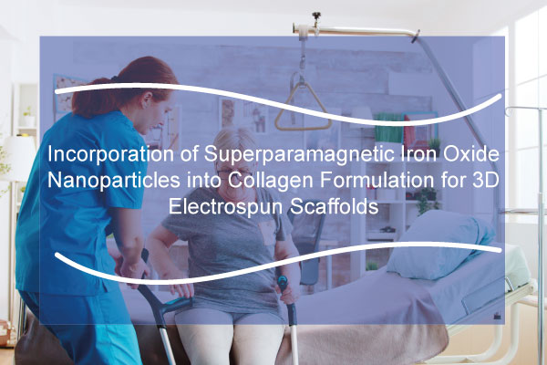 Incorporation of Superparamagnetic Iron Oxide Nanoparticles into Collagen Formulation for 3D Electrospun Scaffolds